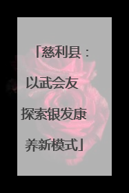 慈利县：以武会友 探索银发康养新模式
