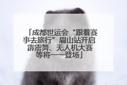 成都世运会“跟着赛事去旅行”眉山站开启 霹雳舞、无人机大赛等将一一登场