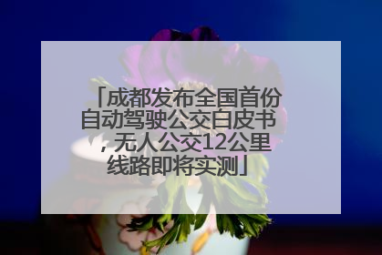 成都发布全国首份自动驾驶公交白皮书，无人公交12公里线路即将实测
