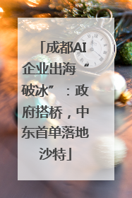 成都AI企业出海“破冰”：政府搭桥，中东首单落地沙特