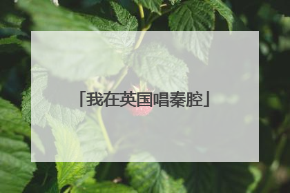 我在英国唱秦腔