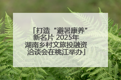 打造“避暑康养”新名片 2025年湖南乡村文旅投融资洽谈会在桃江举办