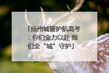 扬州城管护航高考：你们全力以赴 我们全“城”守护
