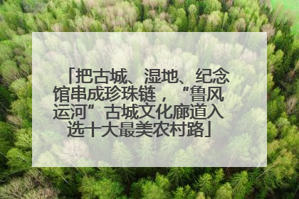 把古城、湿地、纪念馆串成珍珠链，“鲁风运河”古城文化廊道入选十大最美农村路