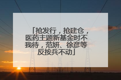 抢发行，抢建仓，医药主题新基金时不我待，范妍、徐彦等反按兵不动