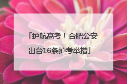 护航高考！合肥公安出台16条护考举措