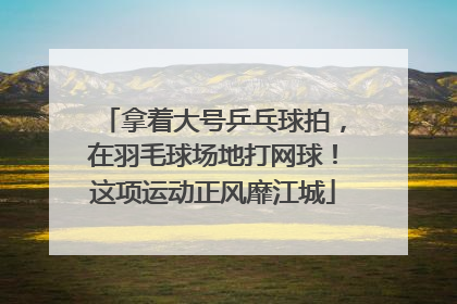 拿着大号乒乓球拍，在羽毛球场地打网球！这项运动正风靡江城