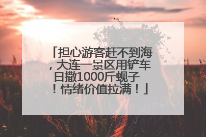 担心游客赶不到海，大连一景区用铲车日撒1000斤蚬子！情绪价值拉满！