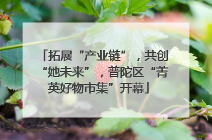 拓展“产业链”，共创“她未来”，普陀区“菁英好物市集”开幕
