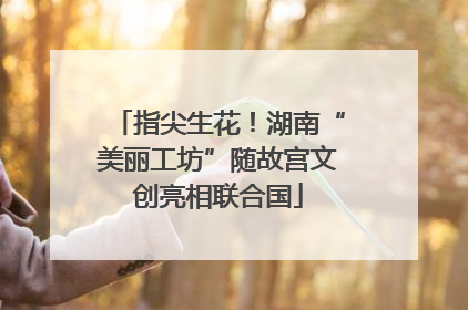 指尖生花！湖南“美丽工坊”随故宫文创亮相联合国