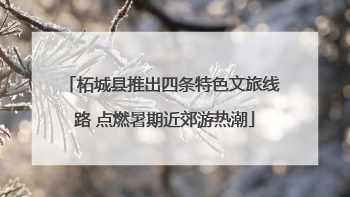 柘城县推出四条特色文旅线路 点燃暑期近郊游热潮