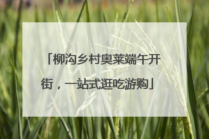 柳沟乡村奥莱端午开街，一站式逛吃游购