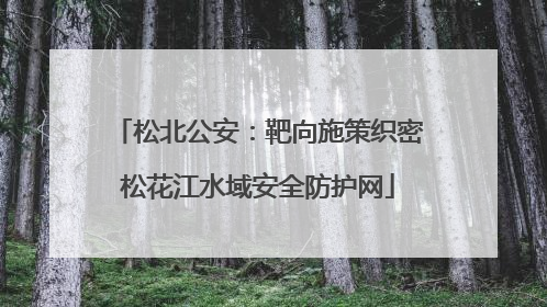 松北公安：靶向施策织密松花江水域安全防护网