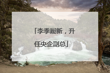 李季履新，升任央企副总