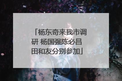杨东奇来我市调研 杨国强陈必昌田和友分别参加