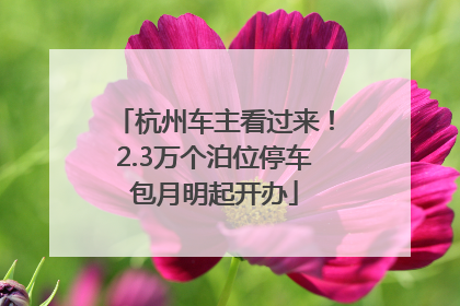 杭州车主看过来！2.3万个泊位停车包月明起开办