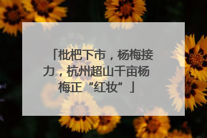 枇杷下市，杨梅接力，杭州超山千亩杨梅正“红妆”