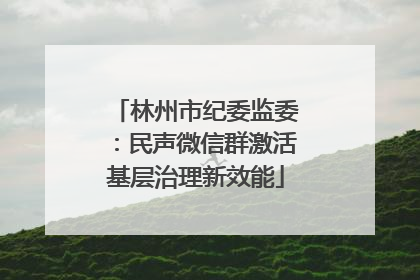 林州市纪委监委：民声微信群激活基层治理新效能