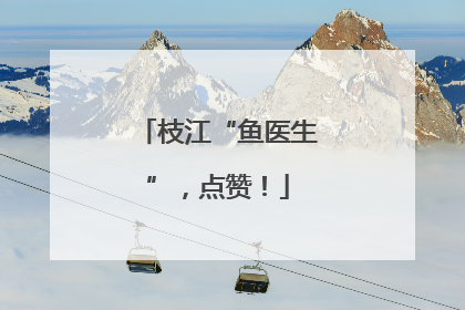 枝江“鱼医生”，点赞！