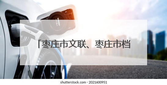 枣庄市文联、枣庄市档案馆举办“文润枣庄·艺联万家”文艺志愿者走进档案馆主题活动