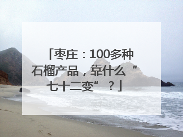 枣庄：100多种石榴产品，靠什么“七十二变”？
