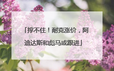 撑不住！耐克涨价，阿迪达斯和彪马或跟进