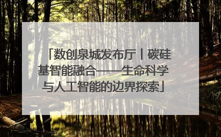 数创泉城发布厅丨碳硅基智能融合——生命科学与人工智能的边界探索