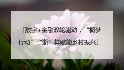 数字+金融双轮驱动，“栀梦行动”“浙”样赋能乡村振兴
