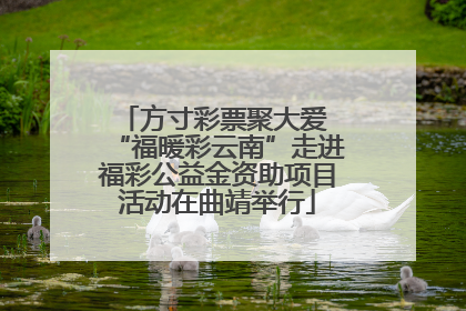 方寸彩票聚大爱 “福暖彩云南”走进福彩公益金资助项目活动在曲靖举行