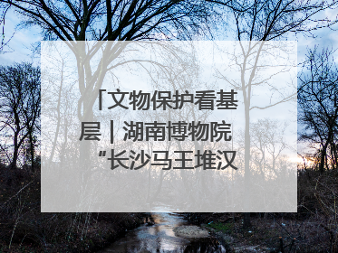 文物保护看基层｜湖南博物院“长沙马王堆汉墓陈列”展