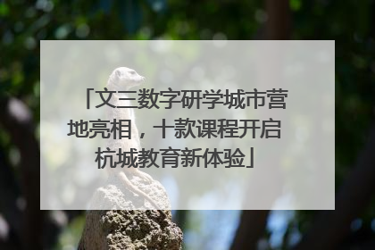 文三数字研学城市营地亮相，十款课程开启杭城教育新体验