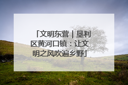 文明东营｜垦利区黄河口镇：让文明之风吹遍乡野