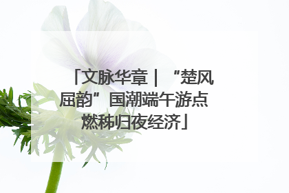 文脉华章｜“楚风屈韵”国潮端午游点燃秭归夜经济