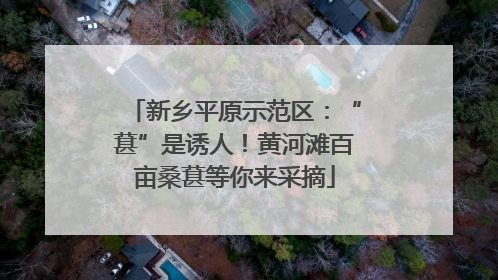 新乡平原示范区：“葚”是诱人！黄河滩百亩桑葚等你来采摘