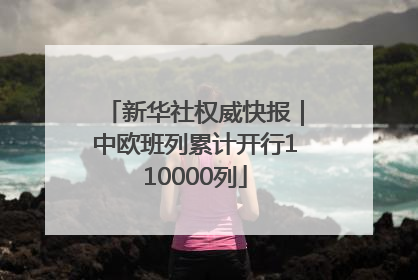 新华社权威快报｜中欧班列累计开行110000列