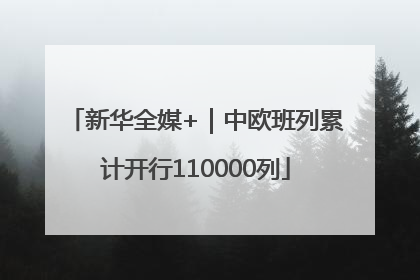 新华全媒+｜中欧班列累计开行110000列
