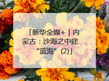 新华全媒+｜内蒙古：沙海之中建“蓝海”(2)