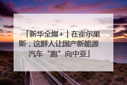 新华全媒+｜在霍尔果斯，这群人让国产新能源汽车“跑”向中亚
