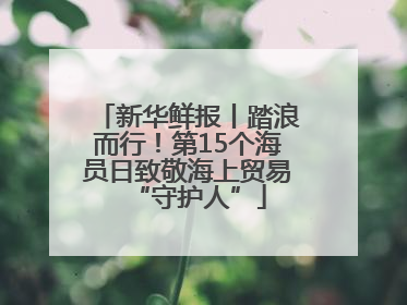 新华鲜报丨踏浪而行！第15个海员日致敬海上贸易“守护人”