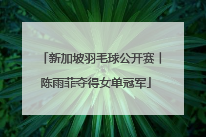 新加坡羽毛球公开赛丨陈雨菲夺得女单冠军