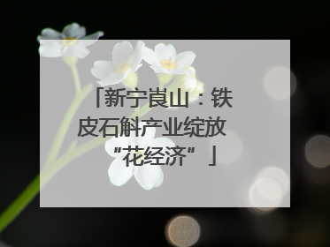 新宁崀山：铁皮石斛产业绽放“花经济”