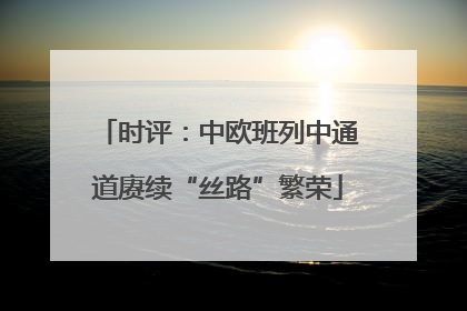 时评：中欧班列中通道赓续“丝路”繁荣