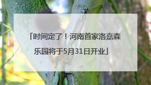 时间定了！河南首家洛嘉森乐园将于5月31日开业