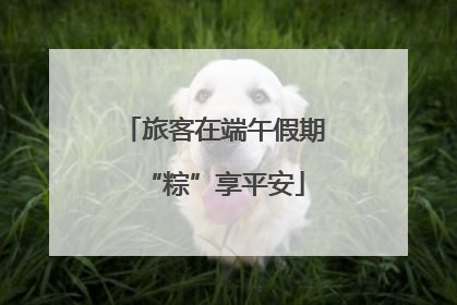 旅客在端午假期“粽”享平安