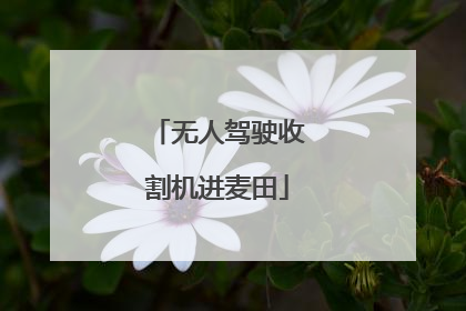 无人驾驶收割机进麦田