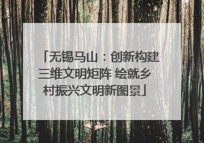无锡马山：创新构建三维文明矩阵 绘就乡村振兴文明新图景