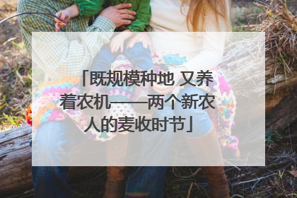 既规模种地 又养着农机——两个新农人的麦收时节