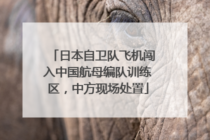 日本自卫队飞机闯入中国航母编队训练区，中方现场处置
