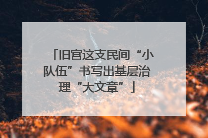 旧宫这支民间“小队伍”书写出基层治理“大文章”