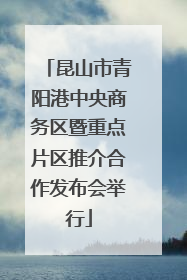 昆山市青阳港中央商务区暨重点片区推介合作发布会举行